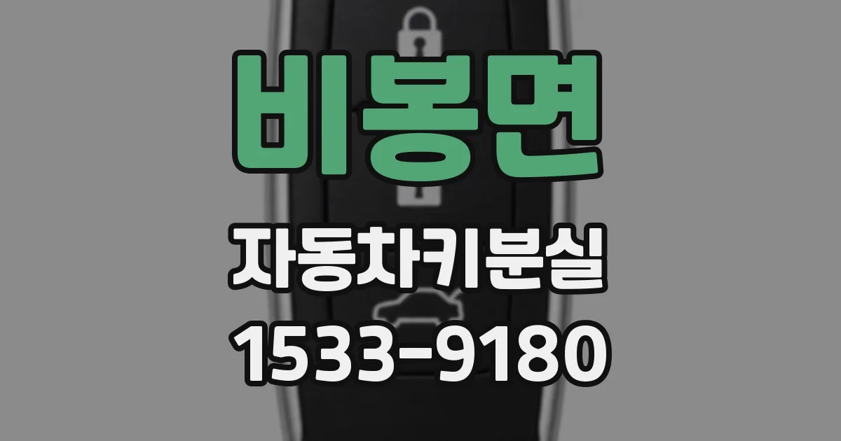 비봉면 자동차키분실