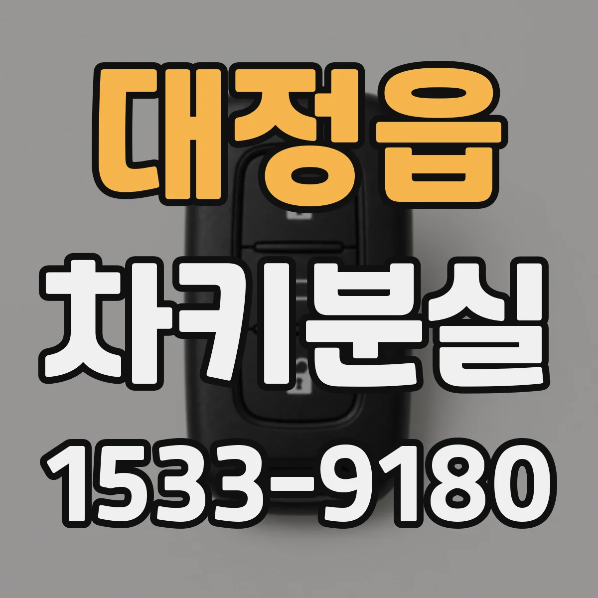 대정읍 차키분실