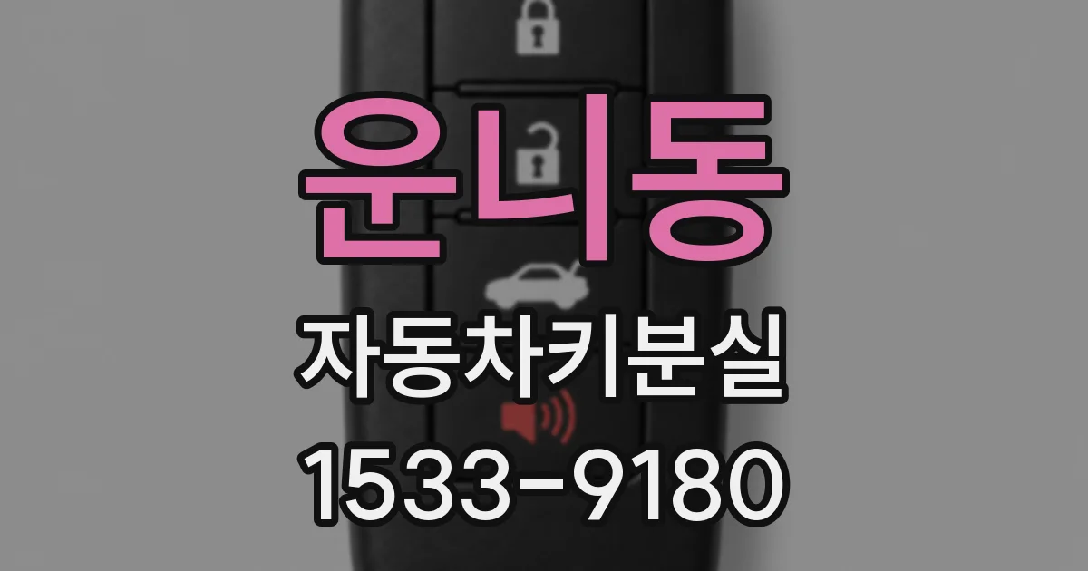 운니동 자동차키분실