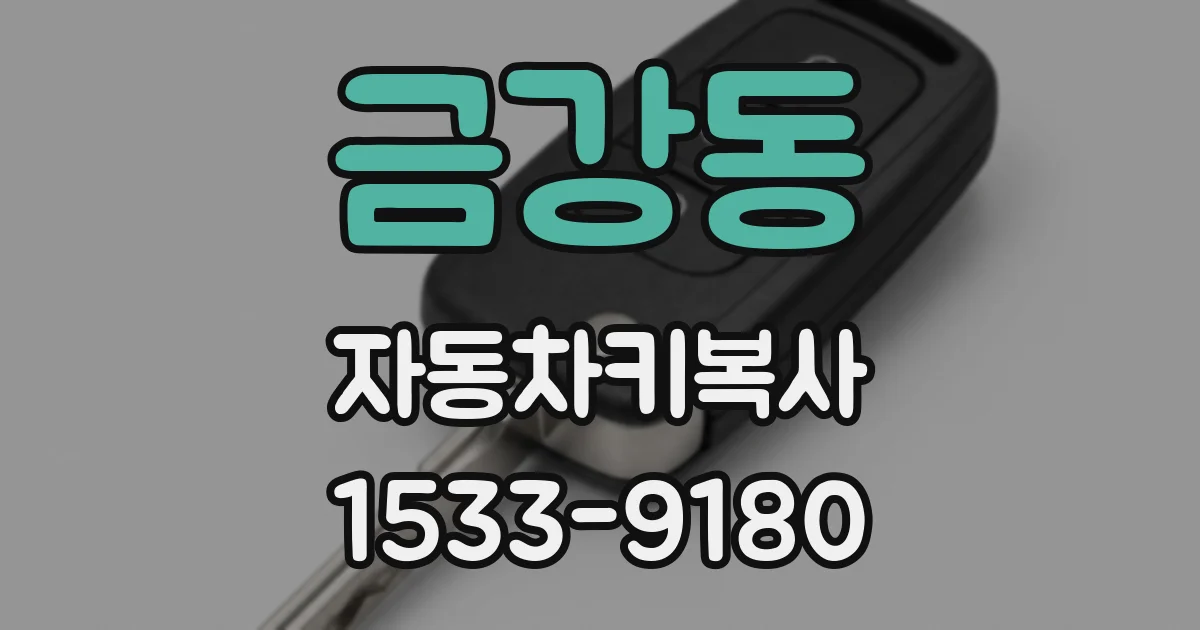 금강동 자동차키복사