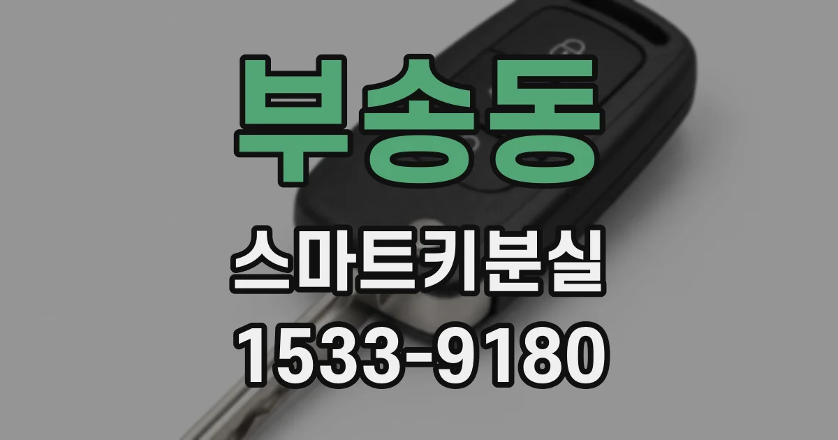 부송동 스마트키분실