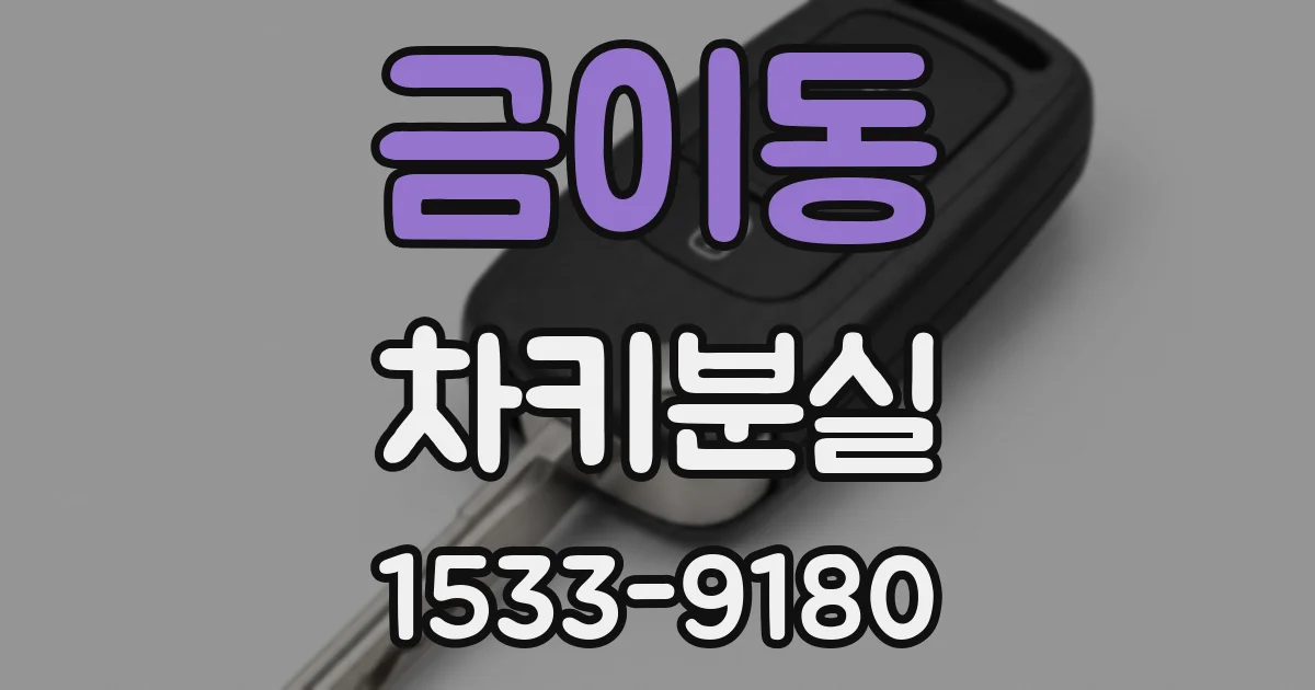 금이동 차키분실