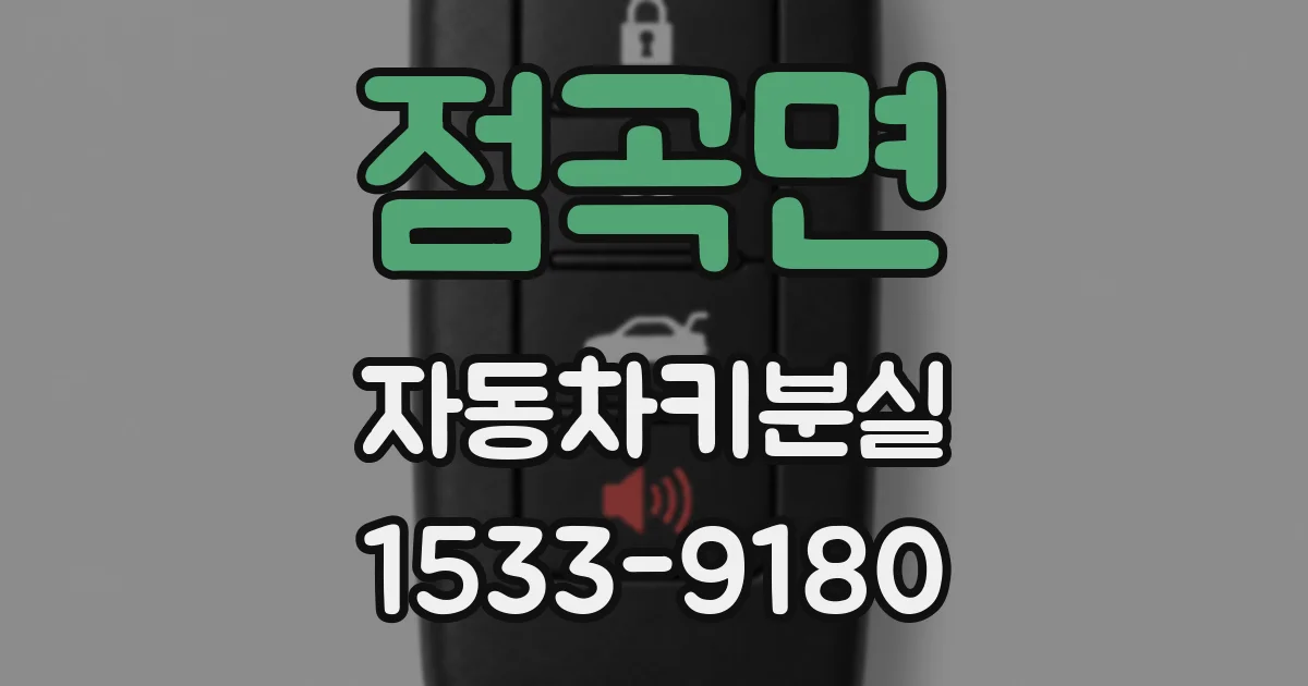 점곡면 자동차키분실