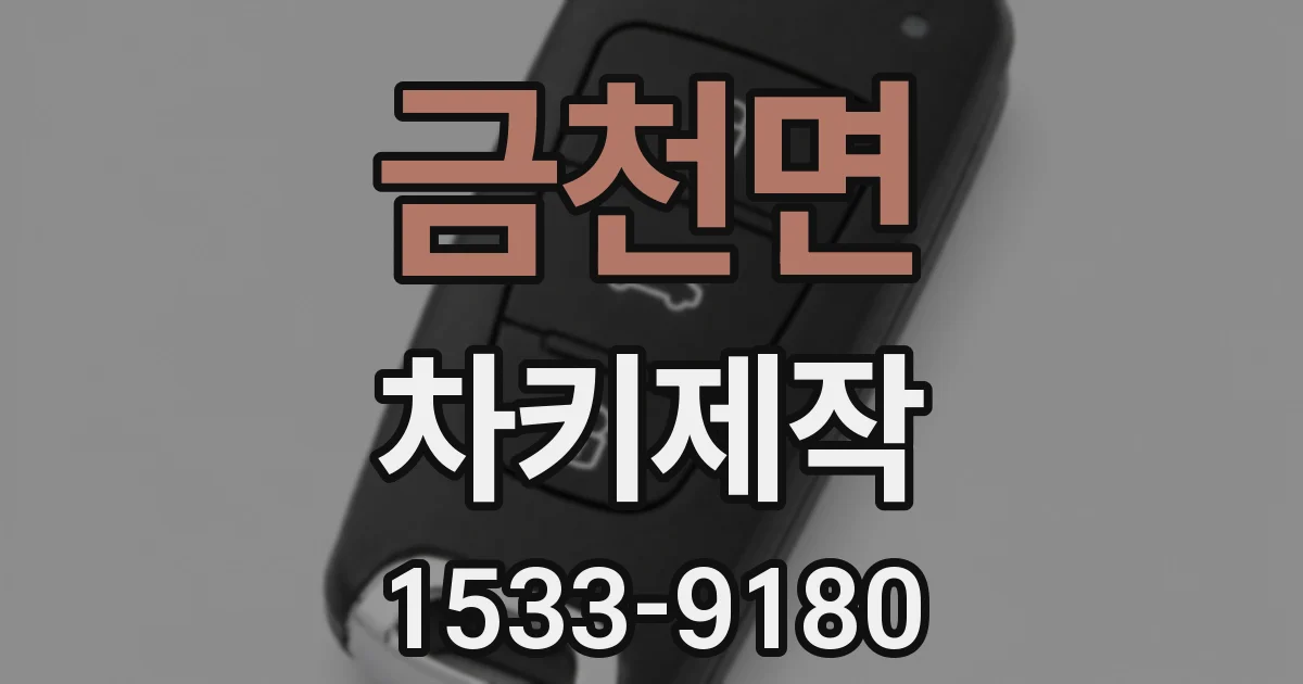 금천면 차키제작