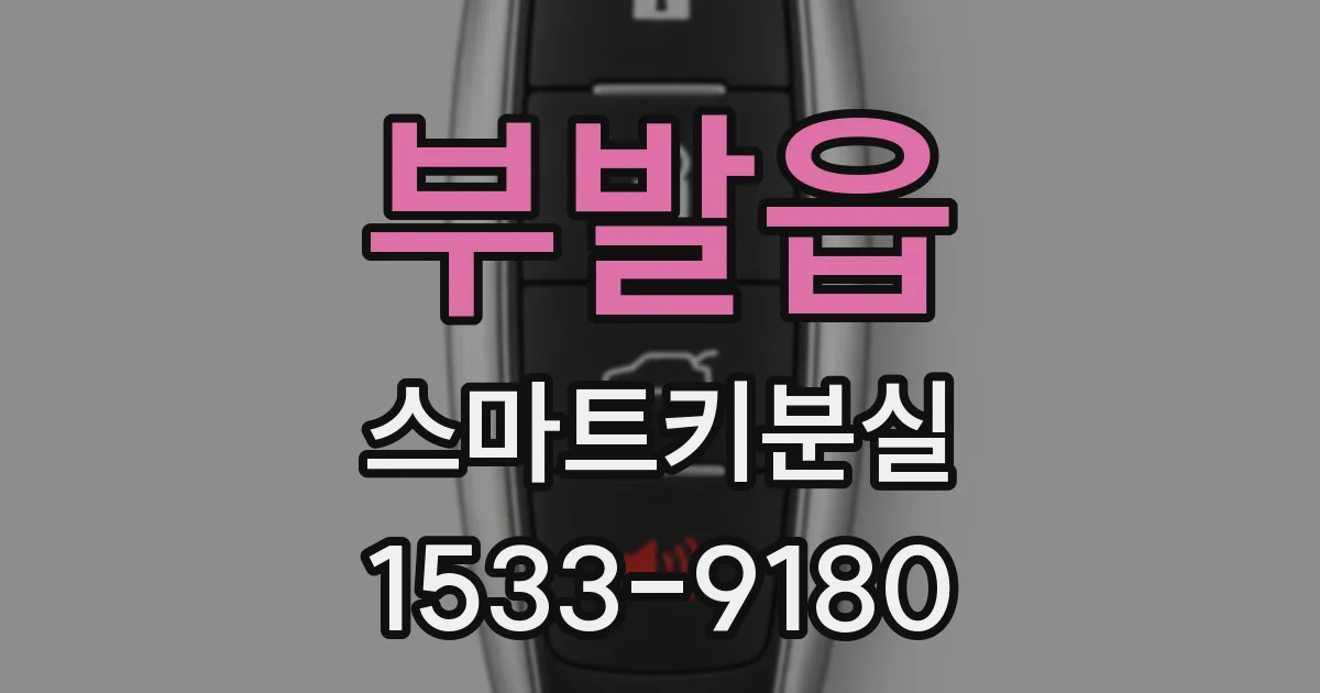 부발읍 스마트키분실