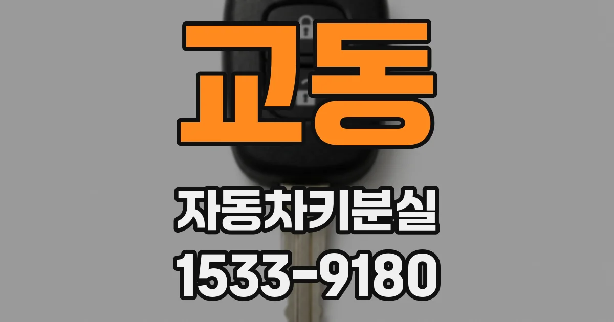 교동 자동차키분실