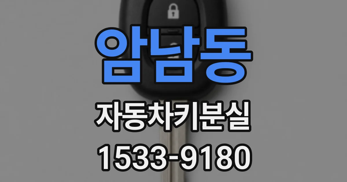 암남동 자동차키분실