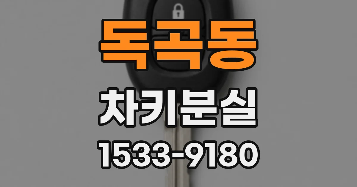 독곡동 차키분실