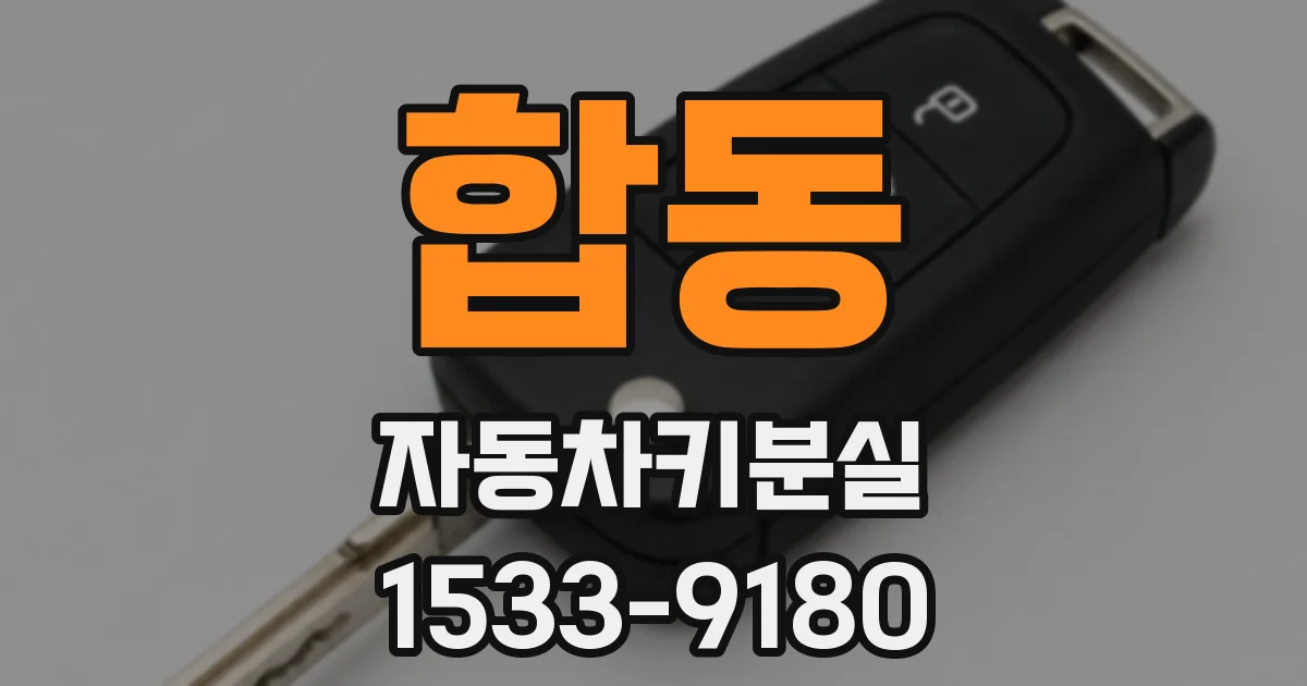 합동 자동차키분실