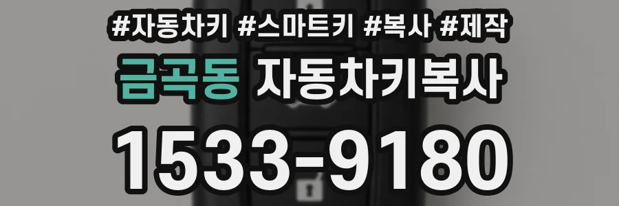 금곡동 자동차키복사