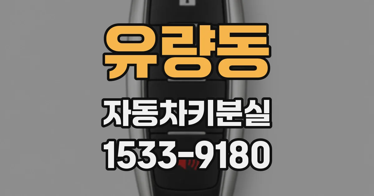 유량동 자동차키분실