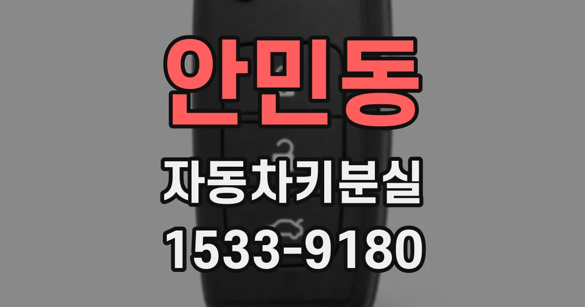 안민동 자동차키분실