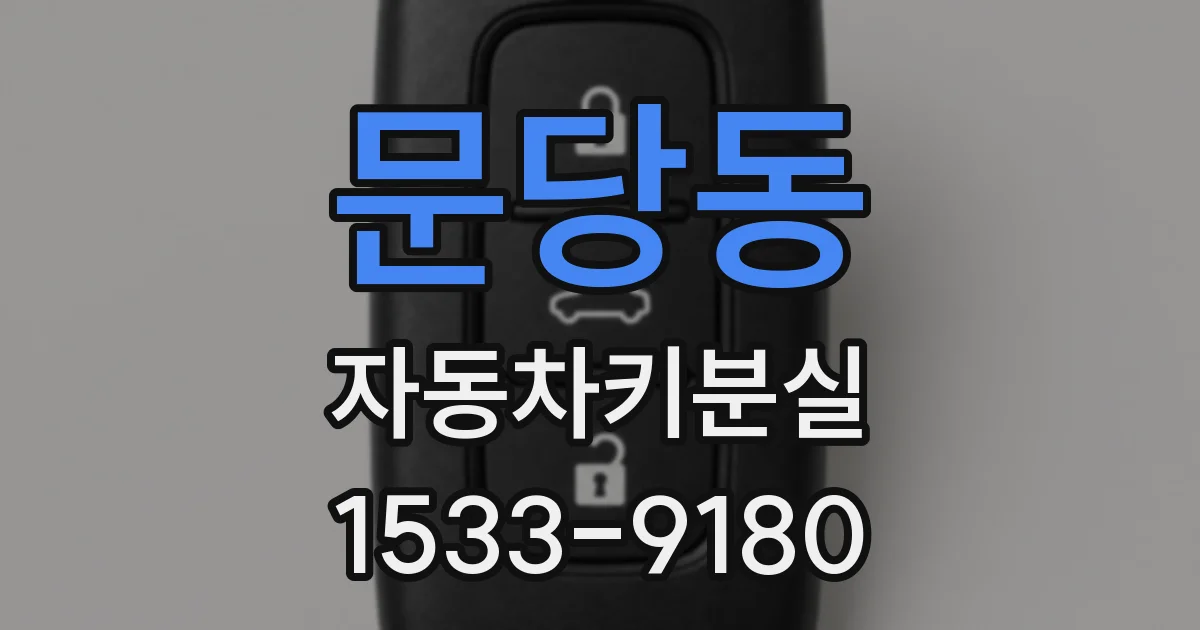 문당동 자동차키분실