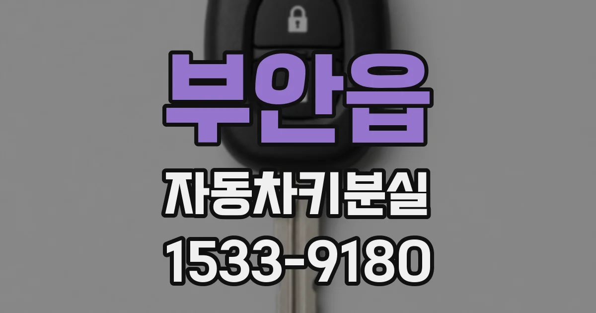 부안읍 자동차키분실