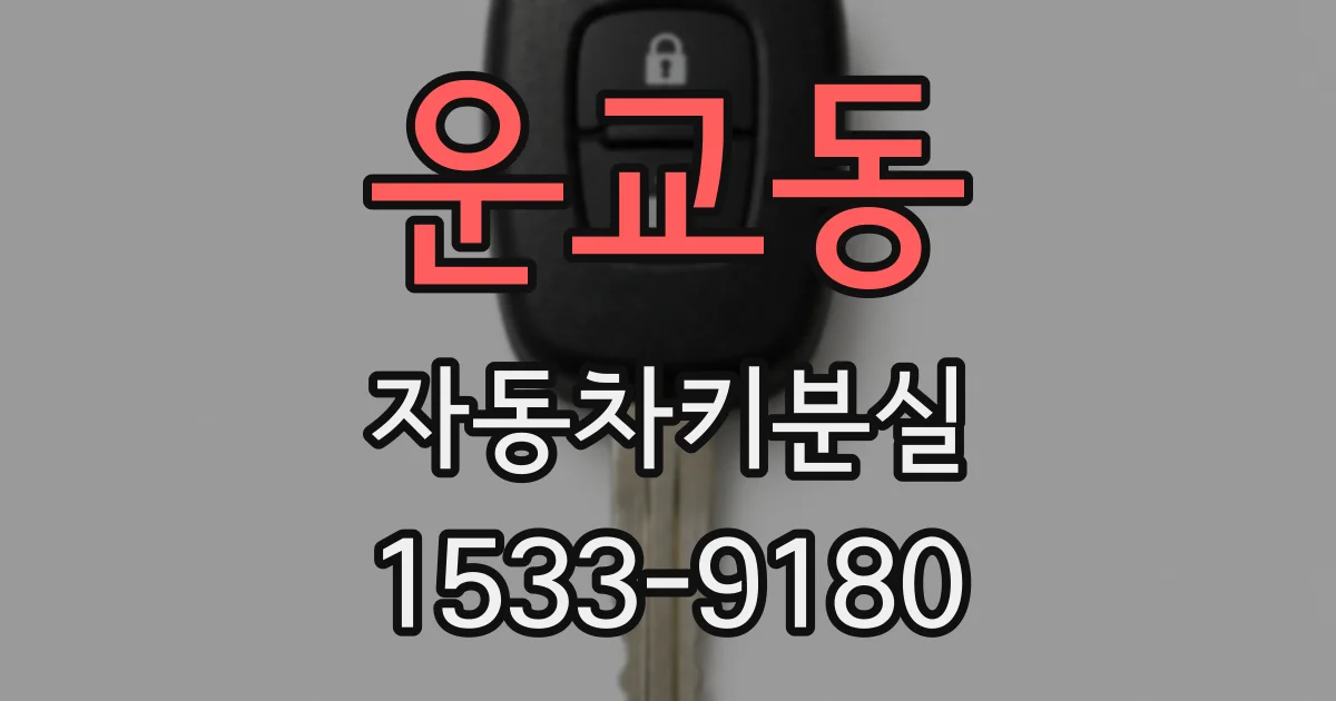 운교동 자동차키분실
