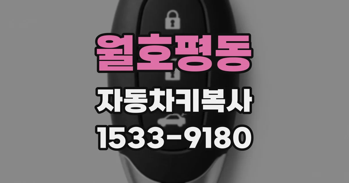 월호평동 자동차키복사