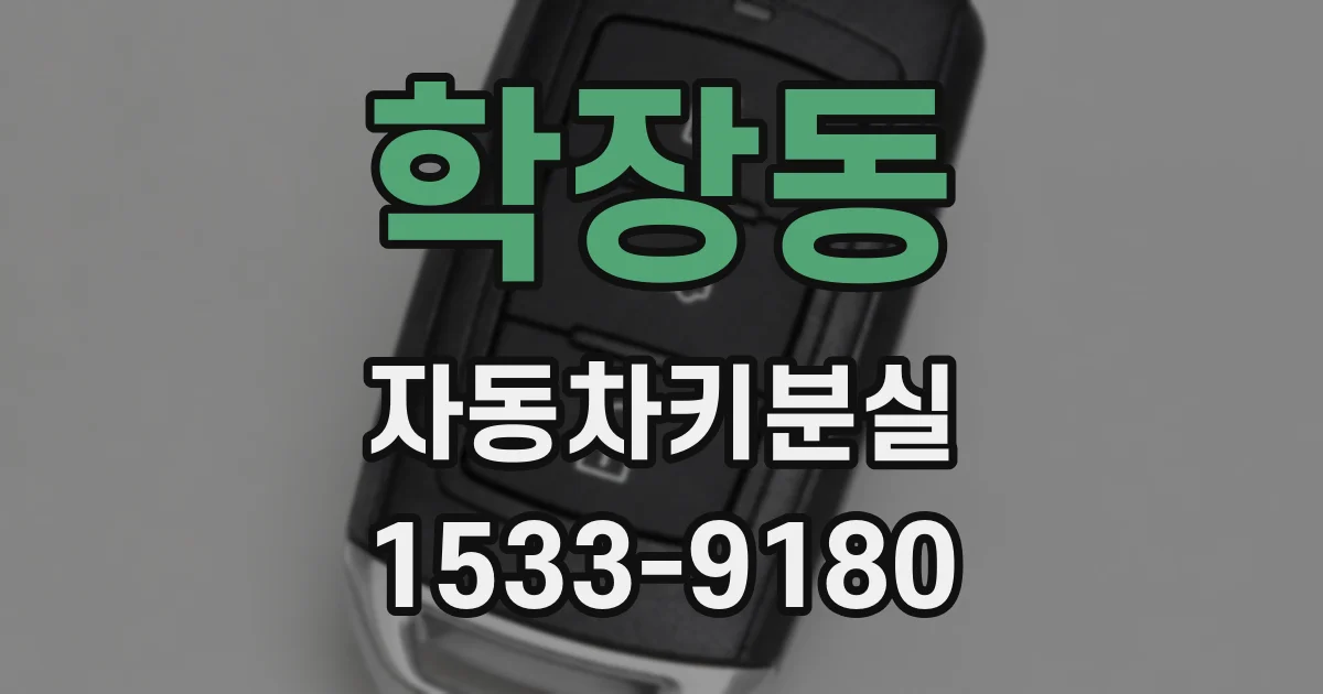 학장동 자동차키분실