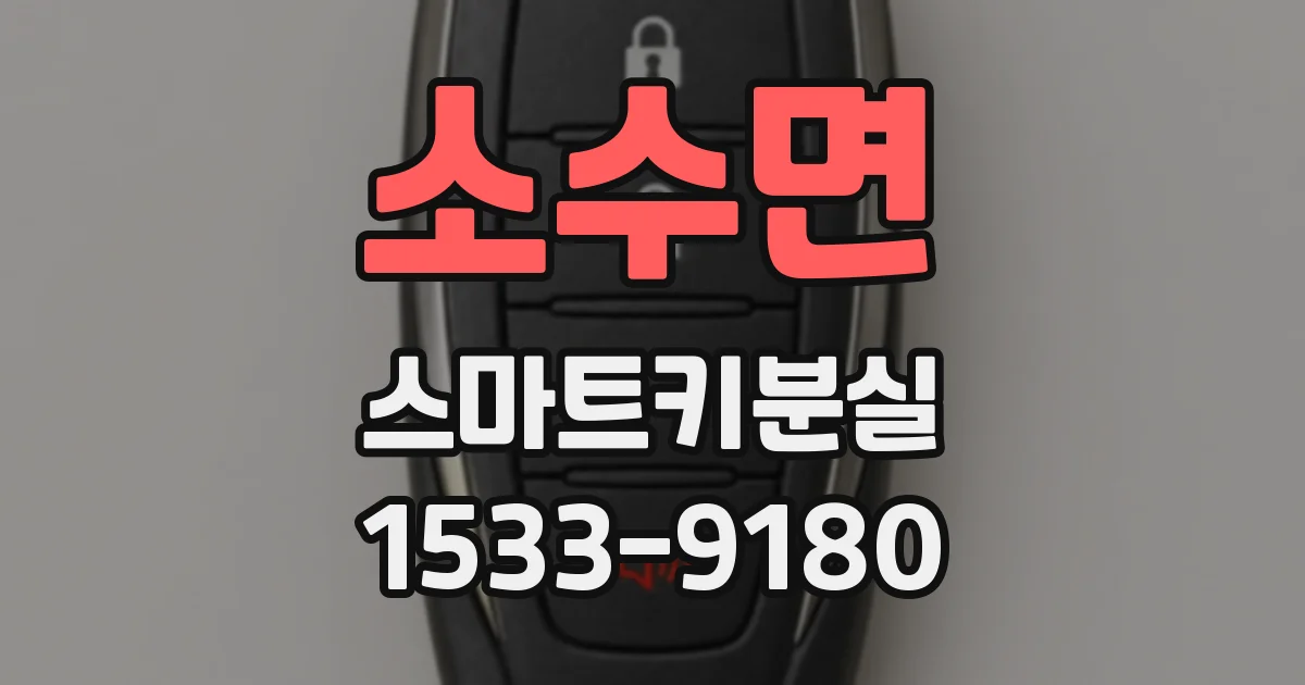 소수면 스마트키분실