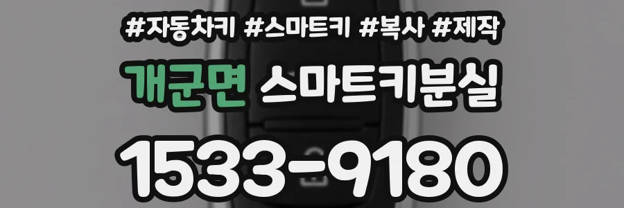 개군면 스마트키분실