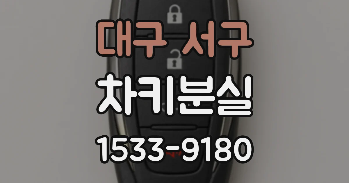 대구 서구 차키분실