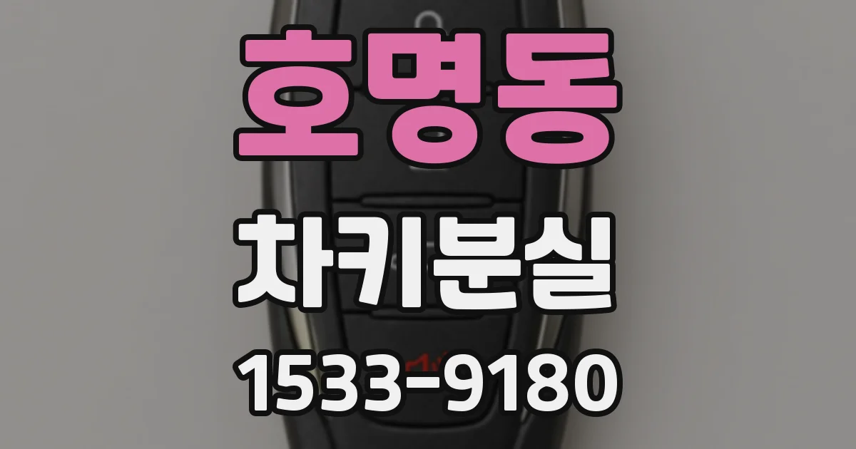 호명동 차키분실