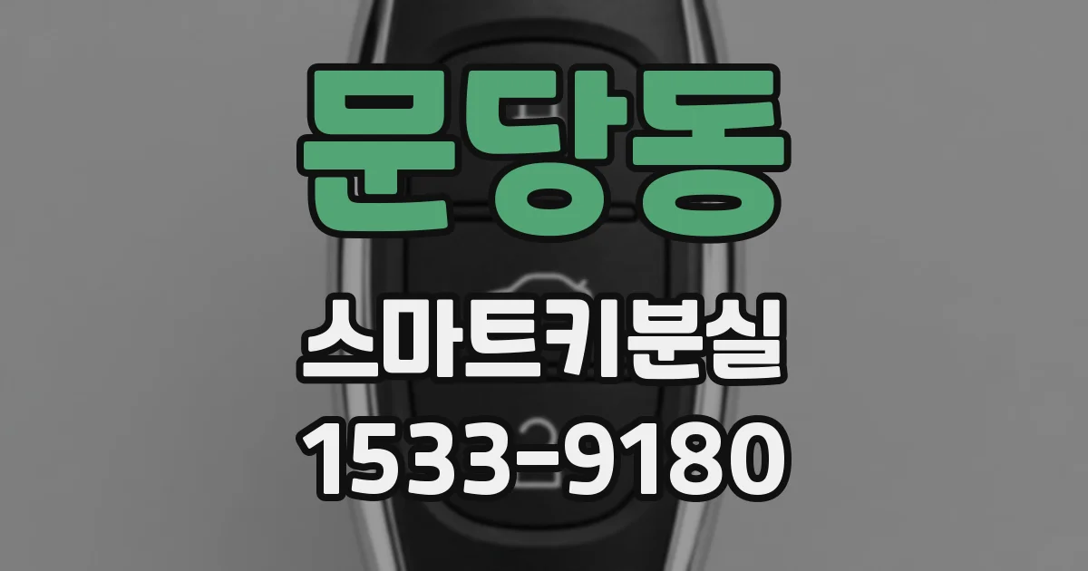 문당동 스마트키분실