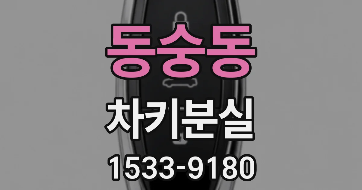 동숭동 차키분실