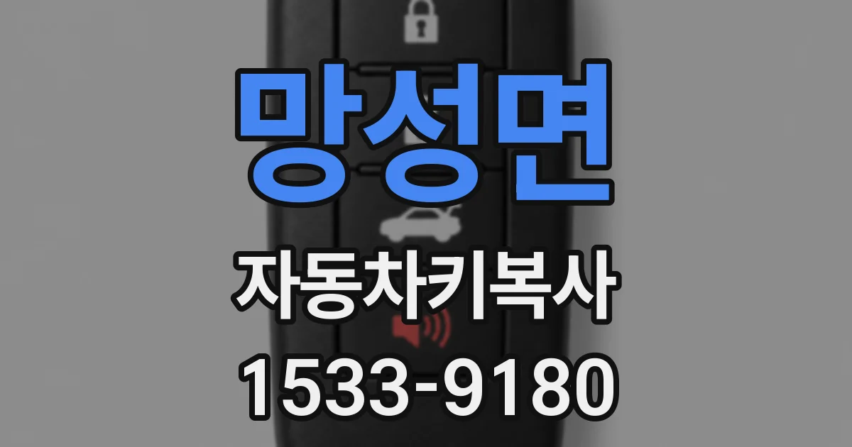 망성면 자동차키복사