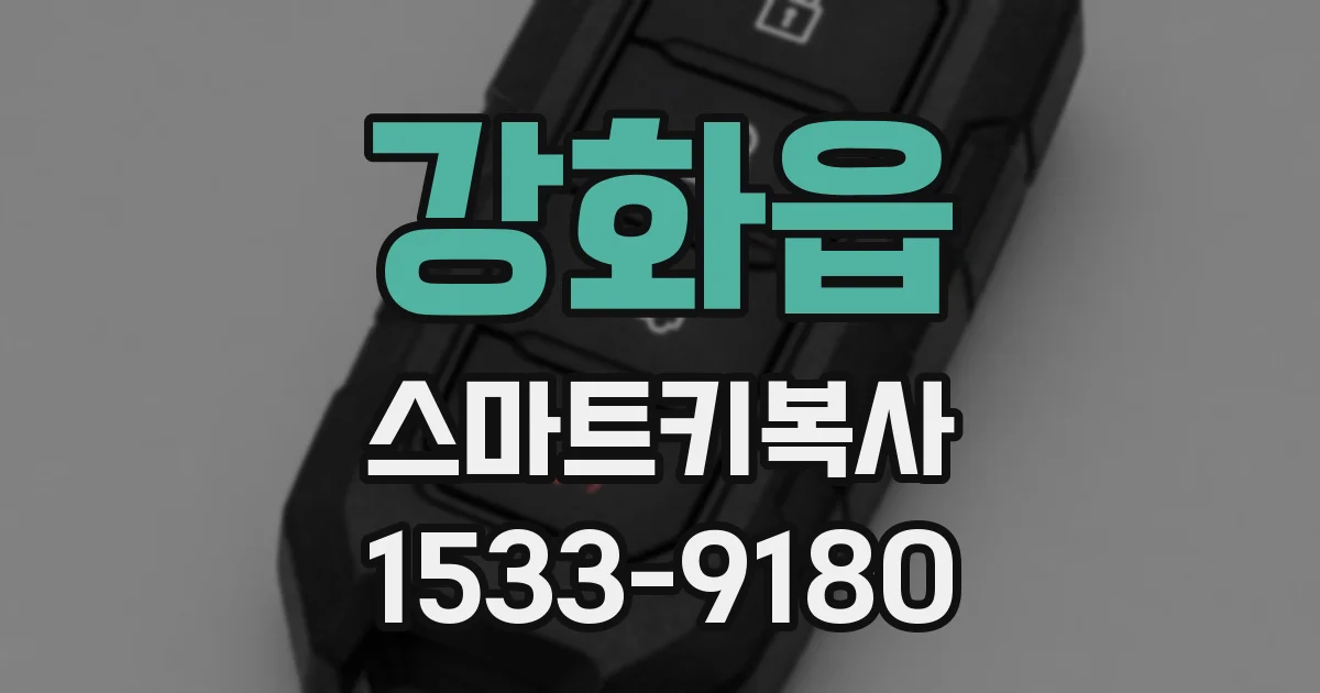 강화읍 스마트키복사