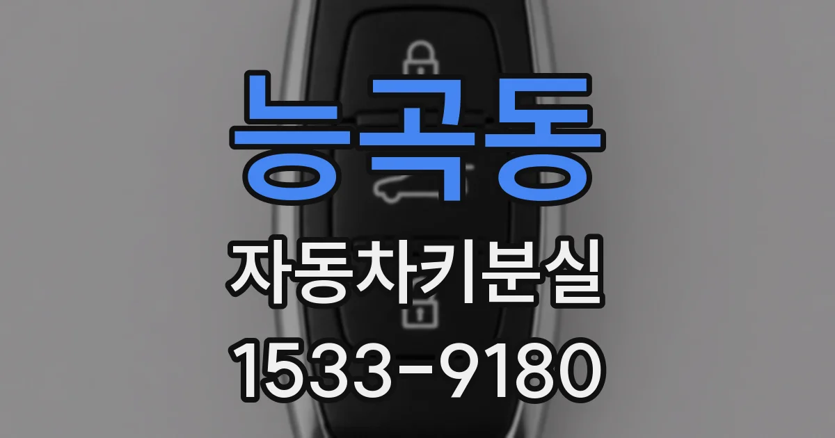 능곡동 자동차키분실
