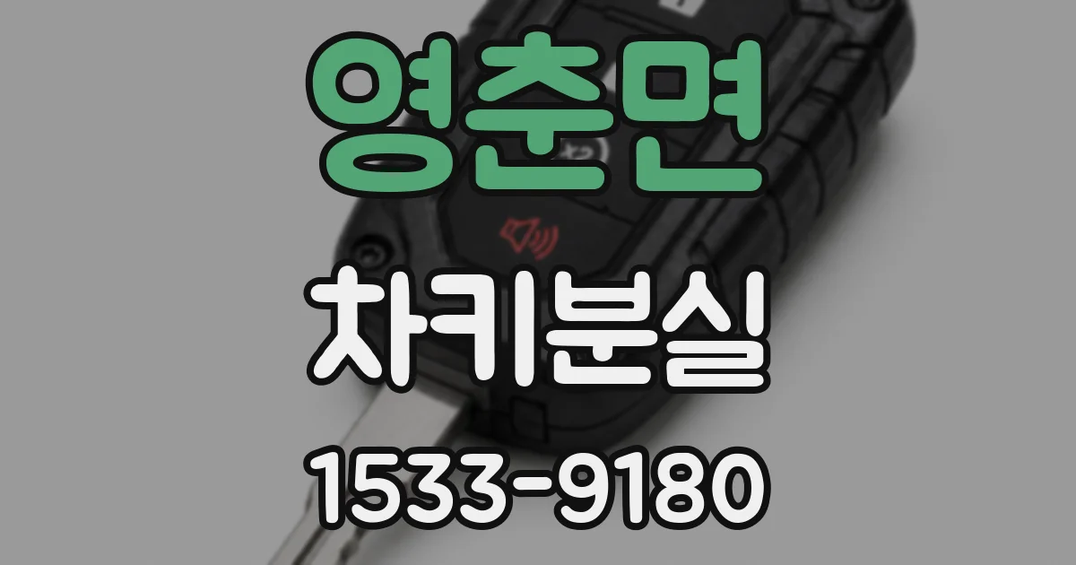 영춘면 차키분실