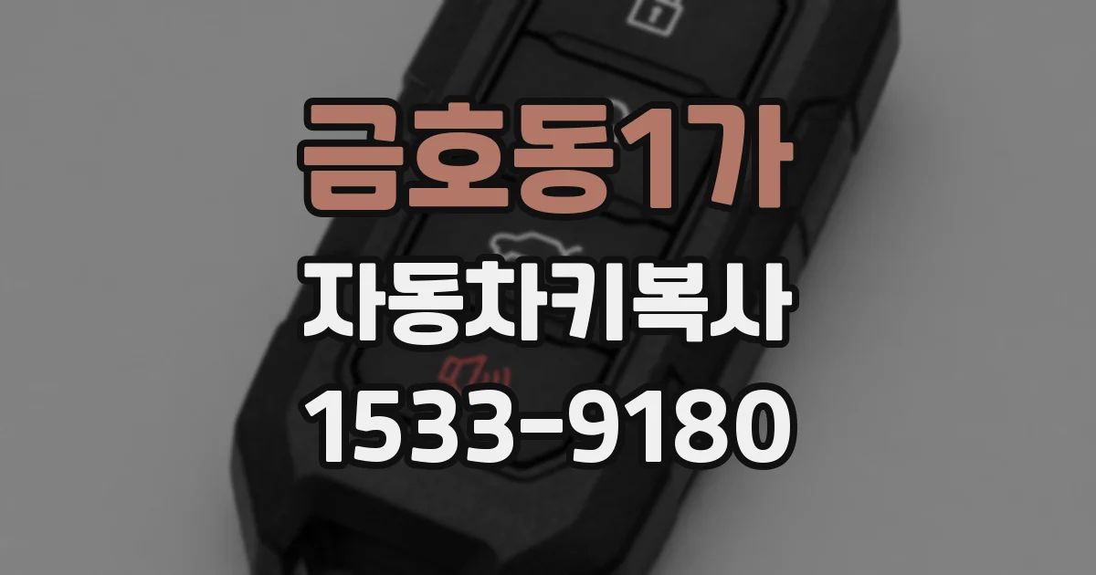 금호동1가 자동차키복사