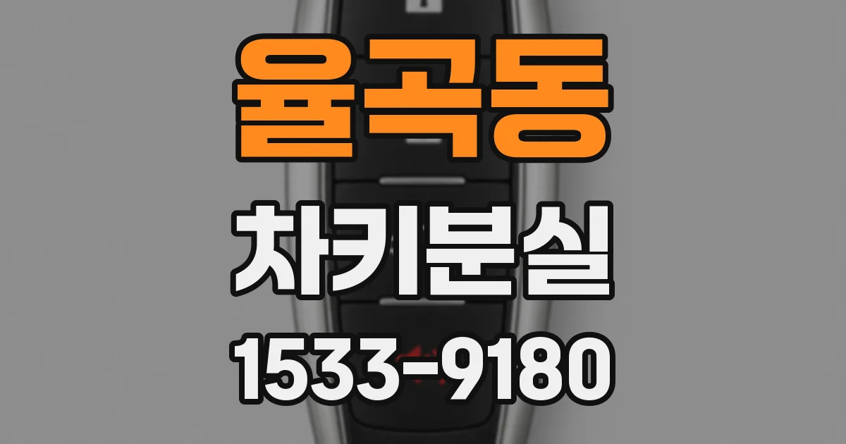 율곡동 차키분실