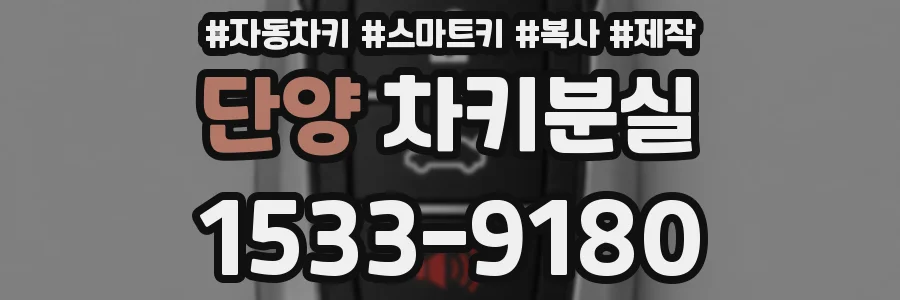 단양 차키분실