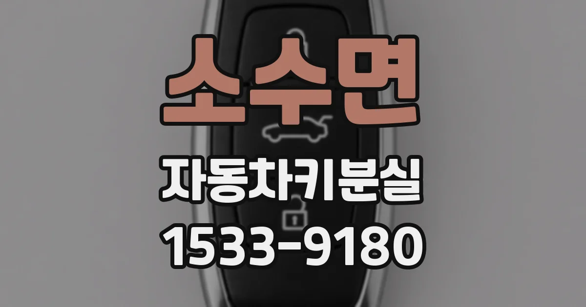 소수면 자동차키분실