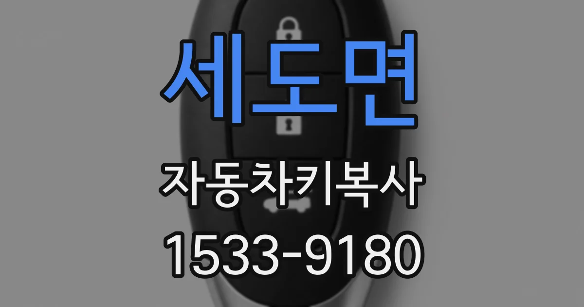 세도면 자동차키복사