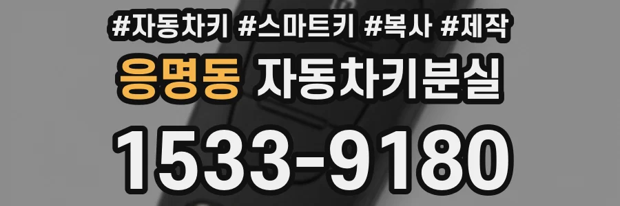 응명동 자동차키분실