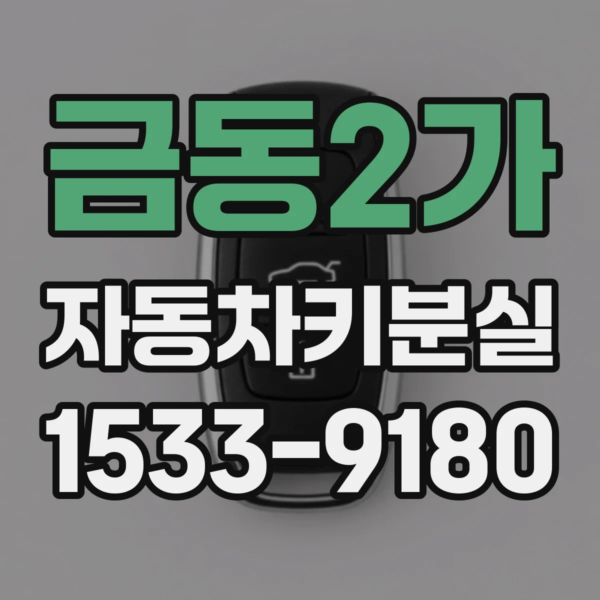 금동2가 자동차키분실