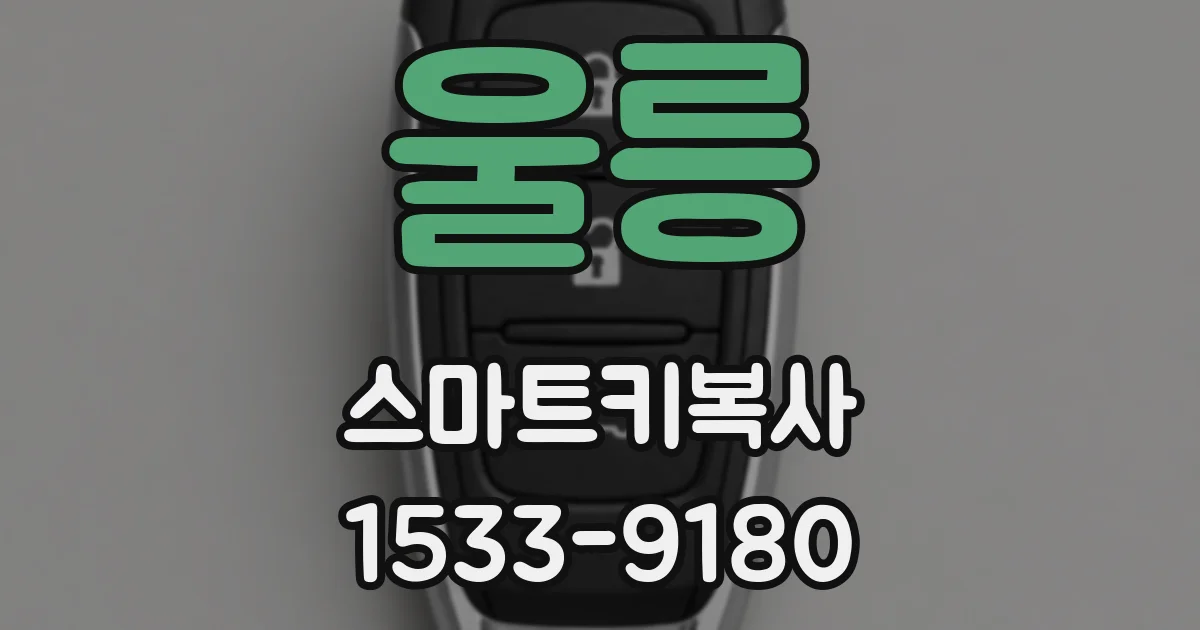 울릉 스마트키복사