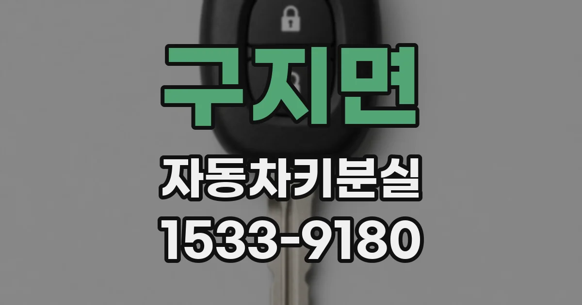 구지면 자동차키분실