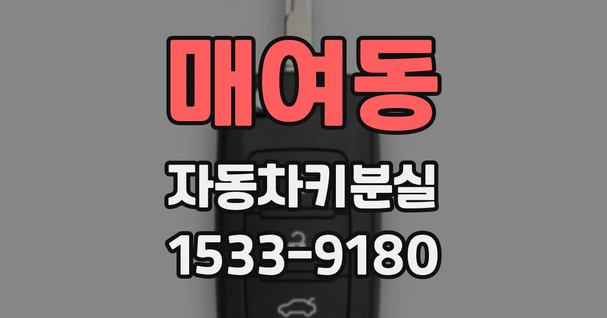 매여동 자동차키분실