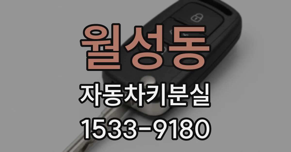 월성동 자동차키분실