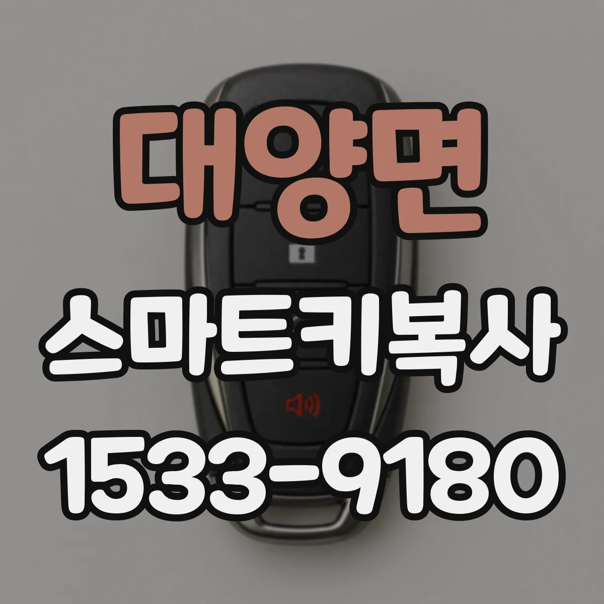 대양면 스마트키복사
