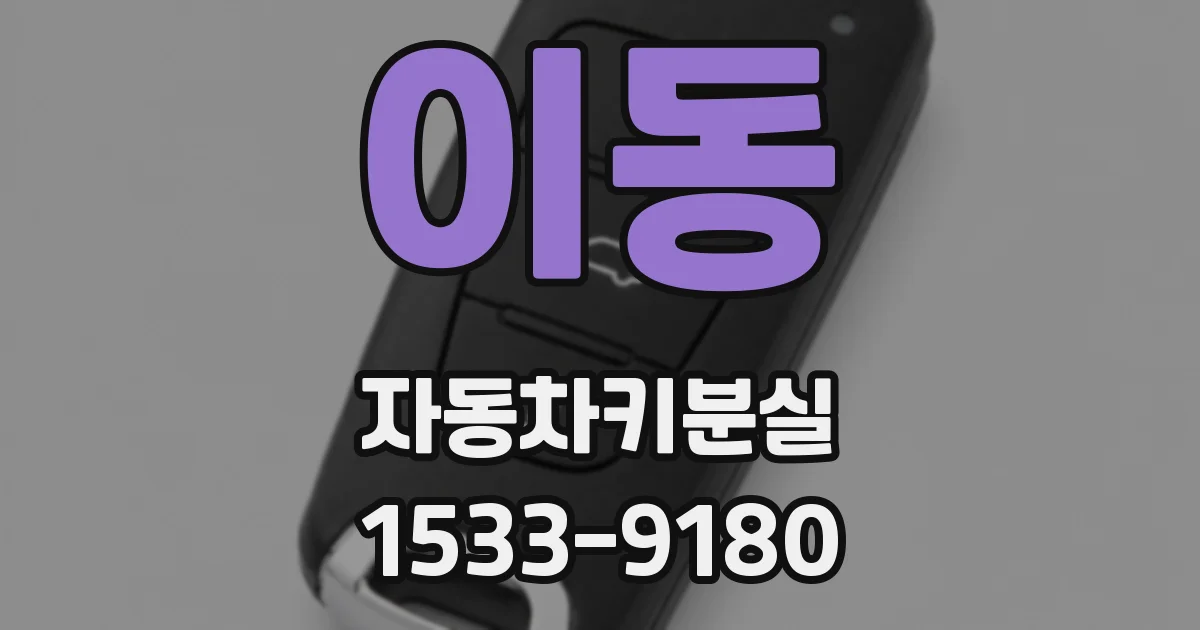 이동 자동차키분실