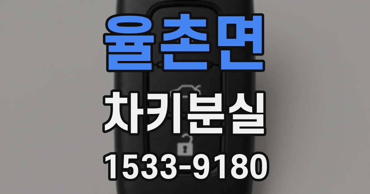 율촌면 차키분실