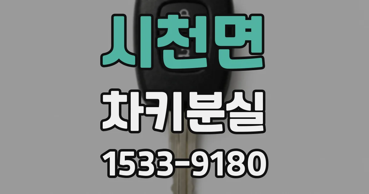 시천면 차키분실