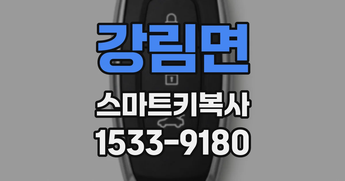 강림면 스마트키복사