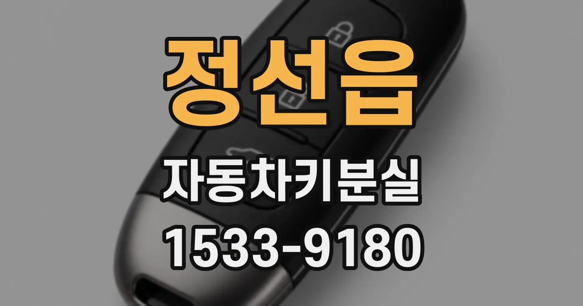 정선읍 자동차키분실