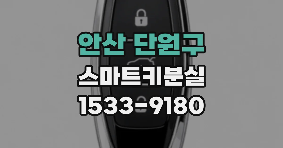 안산 단원구 스마트키분실