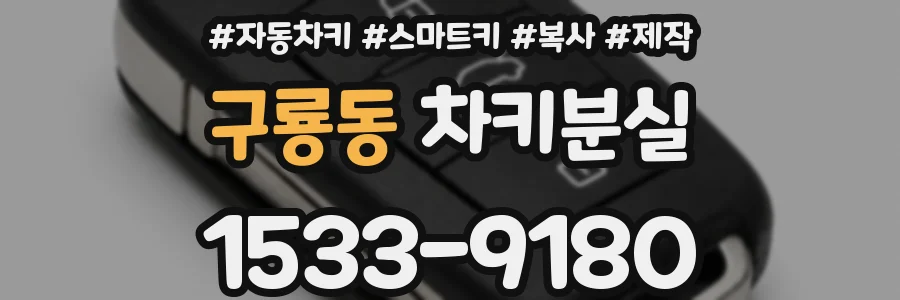 구룡동 차키분실
